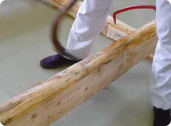 7月7日　小屋梁（丸太と墨付け　畑