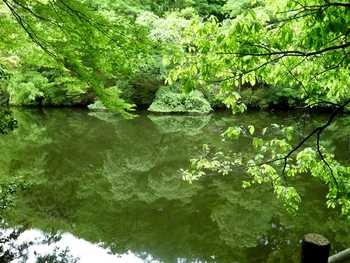 ５月16日　柳生街道を行く