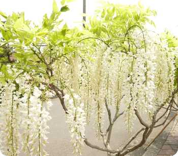 5月3日　蓮華寺池公園＆瀬戸谷温泉ゆらく