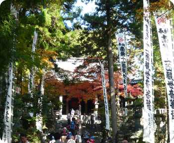 11月15日　登山