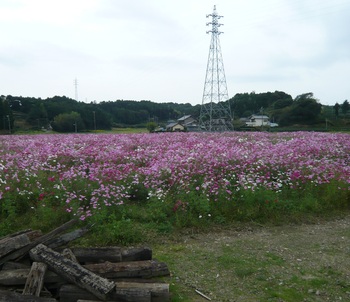 10月22日　風景　ポルシェのスクラップ