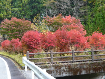 11月12日　寸又峡＆御命講