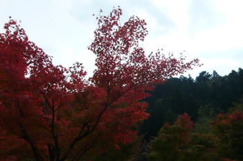 11月12日　寸又峡＆御命講