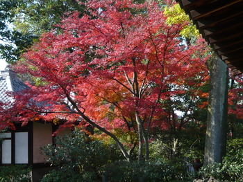 11月25,26日　ご先祖様供養ツアーに参加しました