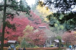11月13日　世界遺産　平泉・中尊寺