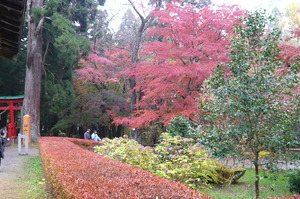 11月13日　世界遺産　平泉・中尊寺