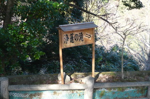 ２月4日　伊豆下田　寝姿山登山