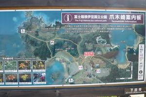 ２月4日　伊豆下田　寝姿山登山
