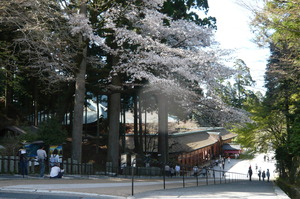 4月28日　比叡山延暦寺日帰りツアー