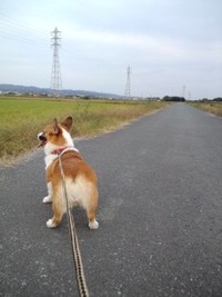 久しぶりに 2010/10/18 17:04:04
