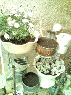 gardening