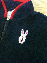 うさぎ 2010/11/03 12:58:13