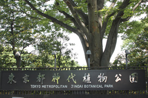 神代植物公園