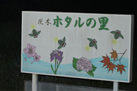 蛍鑑賞 2011/06/06 23:36:12