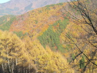 紅葉の中を進んで・・・