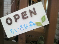 ちいさな森に来ています。