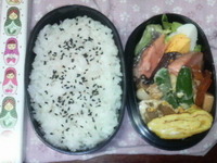今日のお弁当