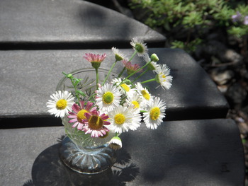 お花を摘んで…
