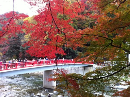 紅葉