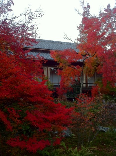 紅葉