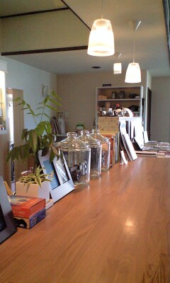 浜松cafe巡り