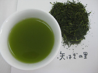 ためしてガッテン　掛川茶　すごい