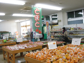レタスしゃぶしゃぶ