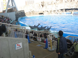 今日はお出かけ