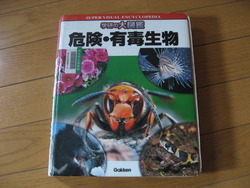 ニットのはぎれで。