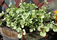 地震、こわいです。。。 2011/03/12 17:14:22
