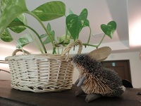 おめでとうございます！ 2010/11/27 13:23:51