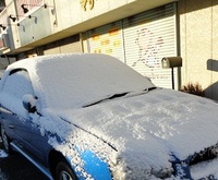 すごい雪でしたね！ 2011/01/17 13:10:38