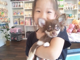 muumuuっ子達☆ご来店