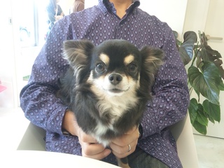 タムちゃん♡