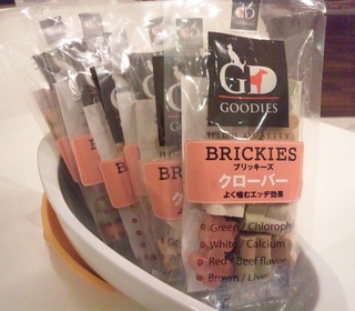 BRICKIES