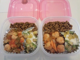 わんこのお弁当♤