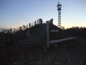 ヤマタカ　櫻井製茶