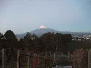 ヤマタカ　櫻井製茶