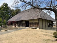 いにしえのお屋敷で浜松のお茶体験(*^^*) 2025/03/03 18:08:07