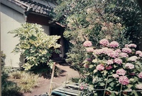 お茶子の昔ばなし「おくら物語」(*^^*) 2025/03/13 10:54:40