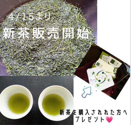 「2023年新茶」本日より販売開始です(*^^*)