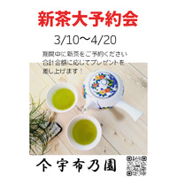 「新茶大予約会」始まります‼︎(*^^*) 2025/03/09 13:10:43