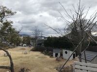 心から楽しく 2020/02/29 06:47:18
