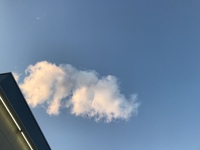 焦らず、ゆっくりいこう 2020/03/16 18:29:14