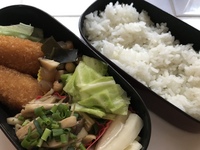 お弁当♪お弁当♫ 2019/03/13 17:57:49