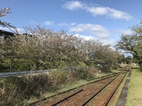 スタートですね 2021/04/07 08:04:17