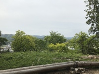 ふつうの時間、特別な時間 2021/04/25 10:31:24