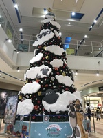 私らしくで大丈夫♫ 2019/12/15 07:56:14