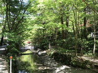 着物でお出かけ♪ 2021/04/12 08:42:48