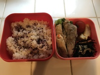 駆け抜けた夏 2020/09/08 10:05:21
